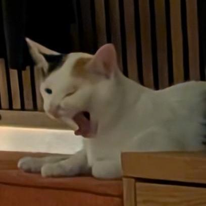 @pewz