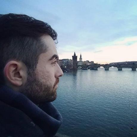 Gabriel Stefanini Vicente